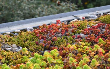 the cost of Kiddshill green roof installation