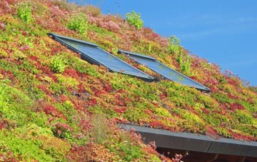 Kiddshill living roof systems