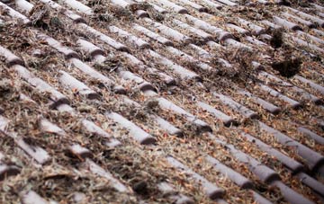 Kiddshill roof cleaning companies